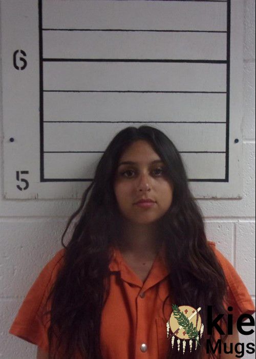 Booking photo of JASMINE WOLF