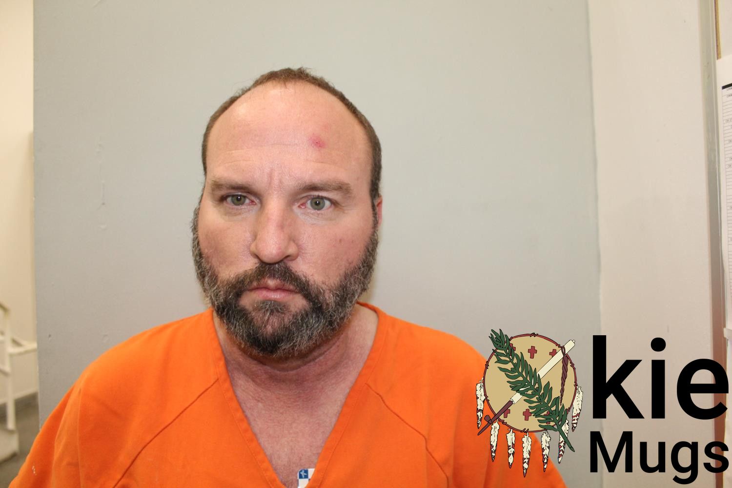Booking photo of JESS STIPES