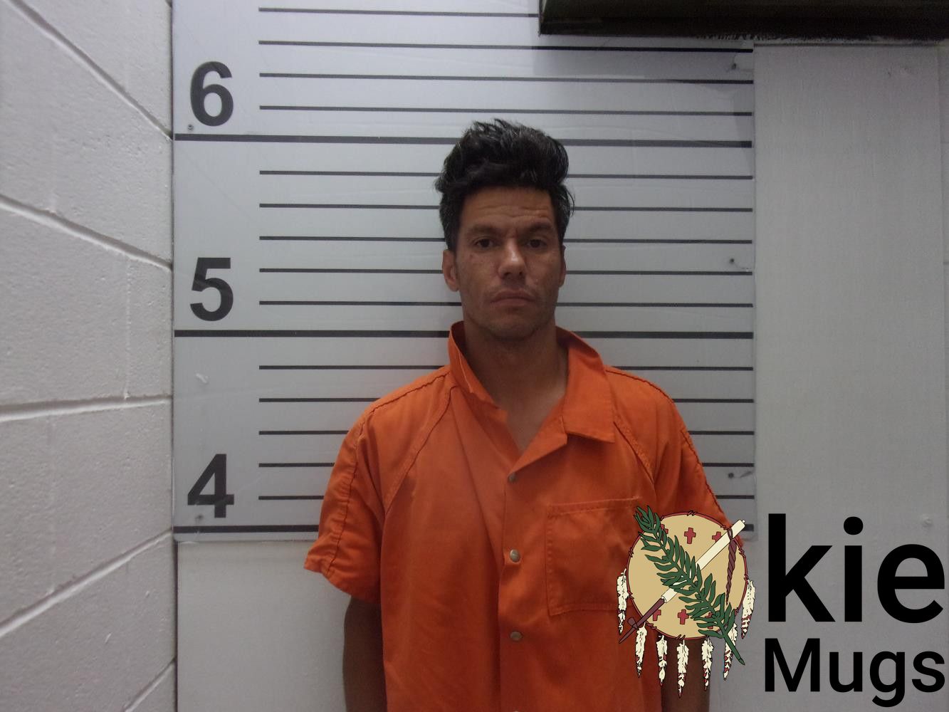 Booking photo of JESSE LEE FISH