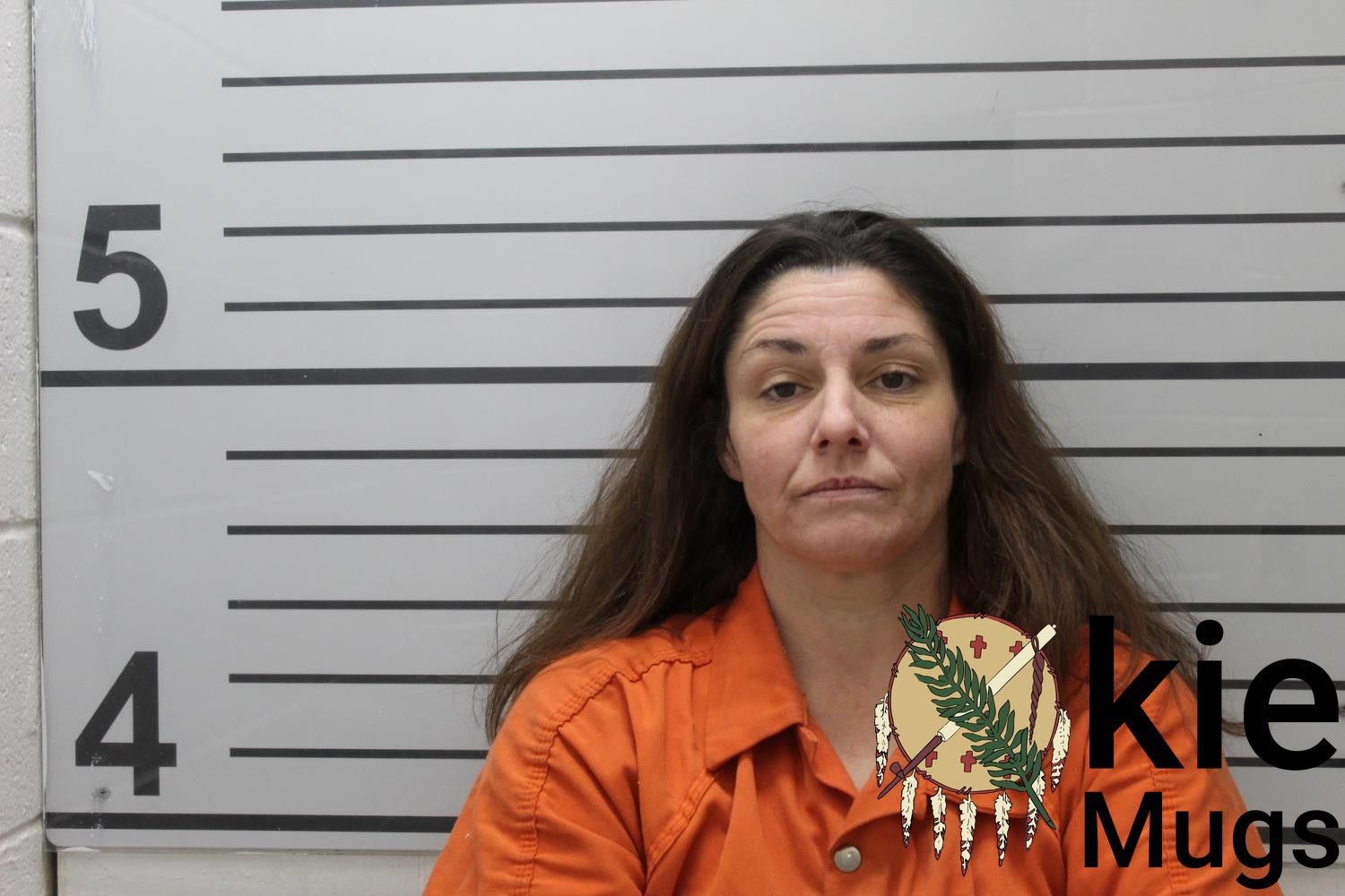Booking photo of JESSICA ANN JAMES