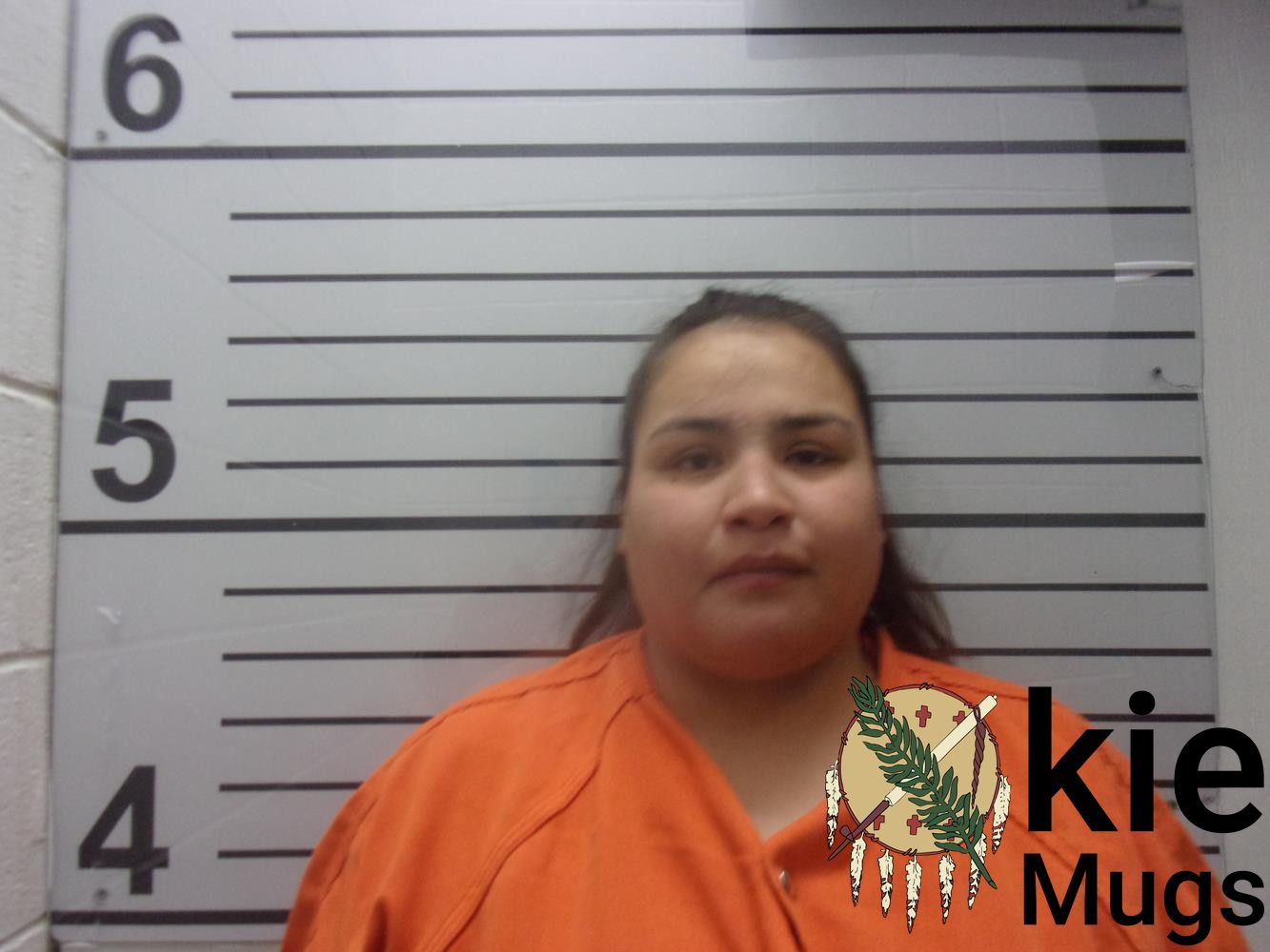 Booking photo of JESSICA BETH LOWE