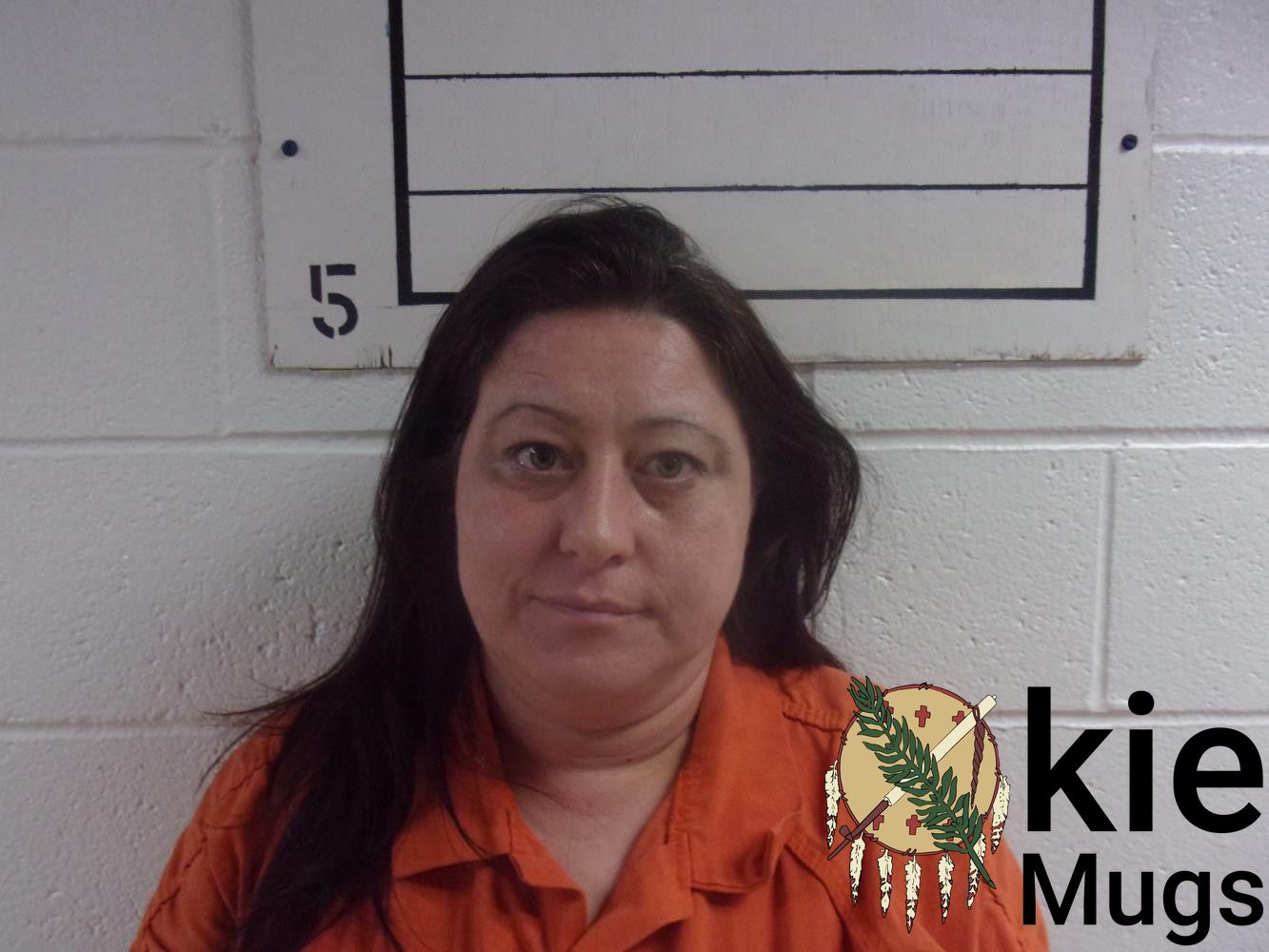 Booking photo of JESSICA DAME-STOVER