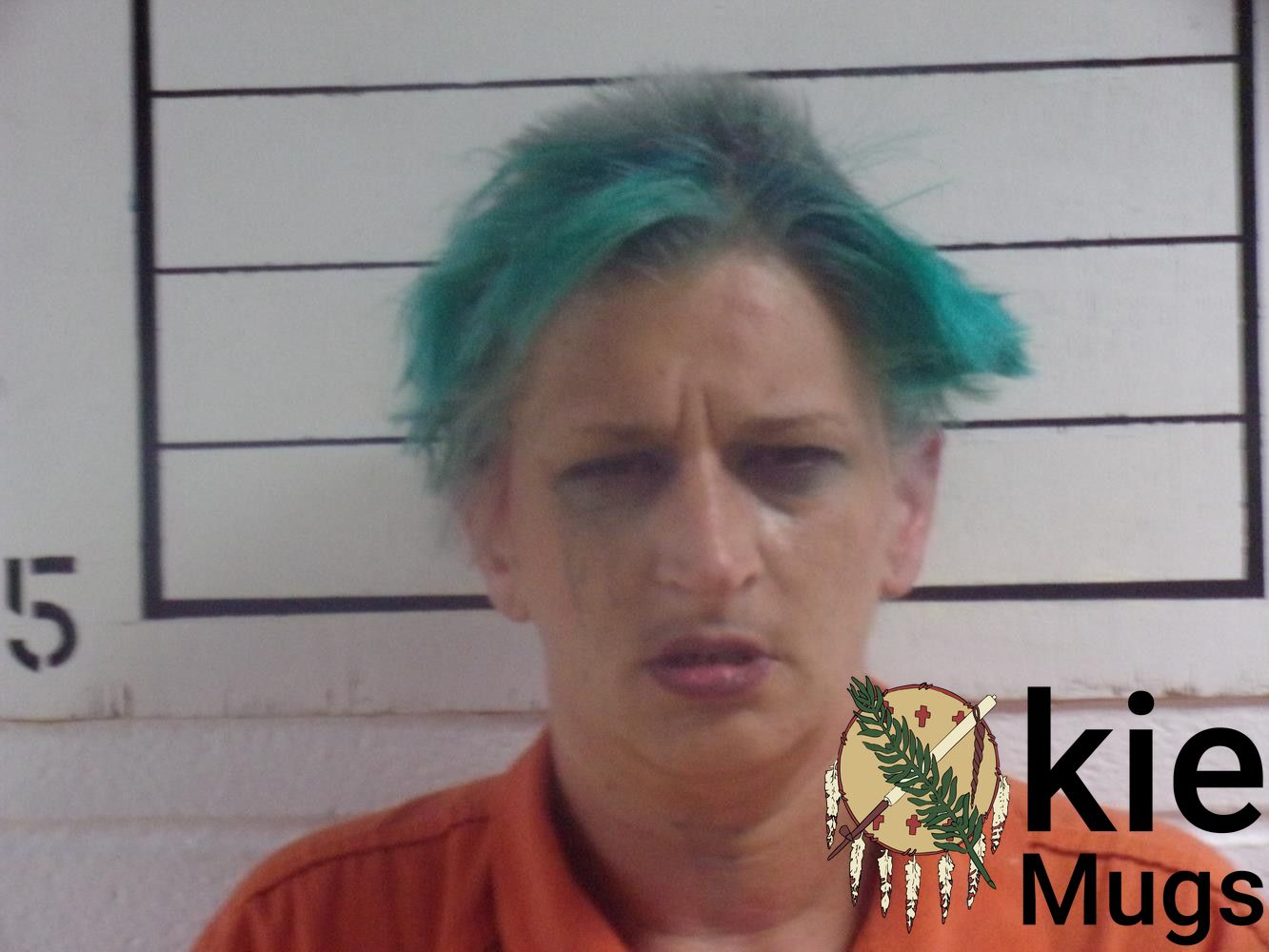 Booking photo of JESSICA ELIZABETH SILVEY