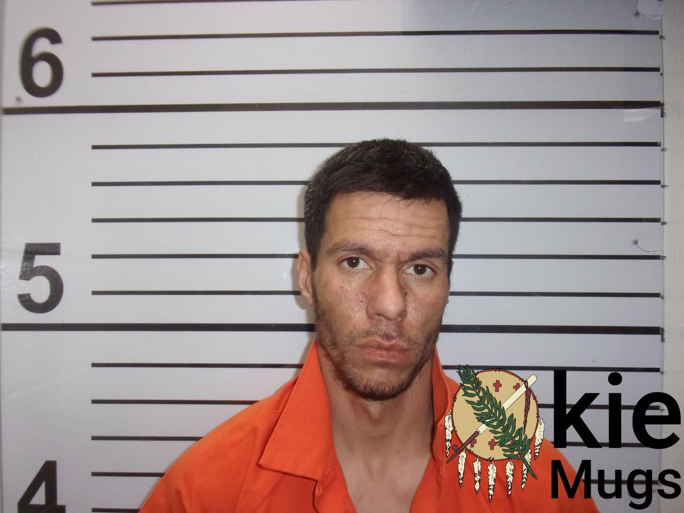 Booking photo of JESSIE LEE FISH