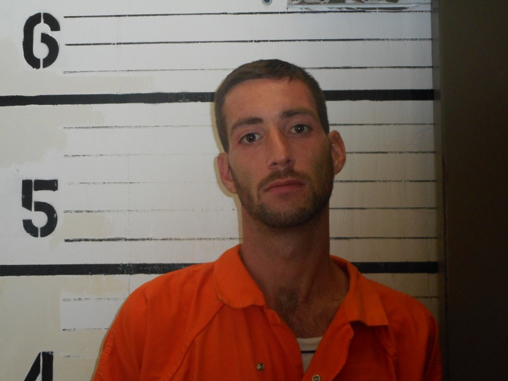 Booking photo of JESSIE MILLARD HAMILTON