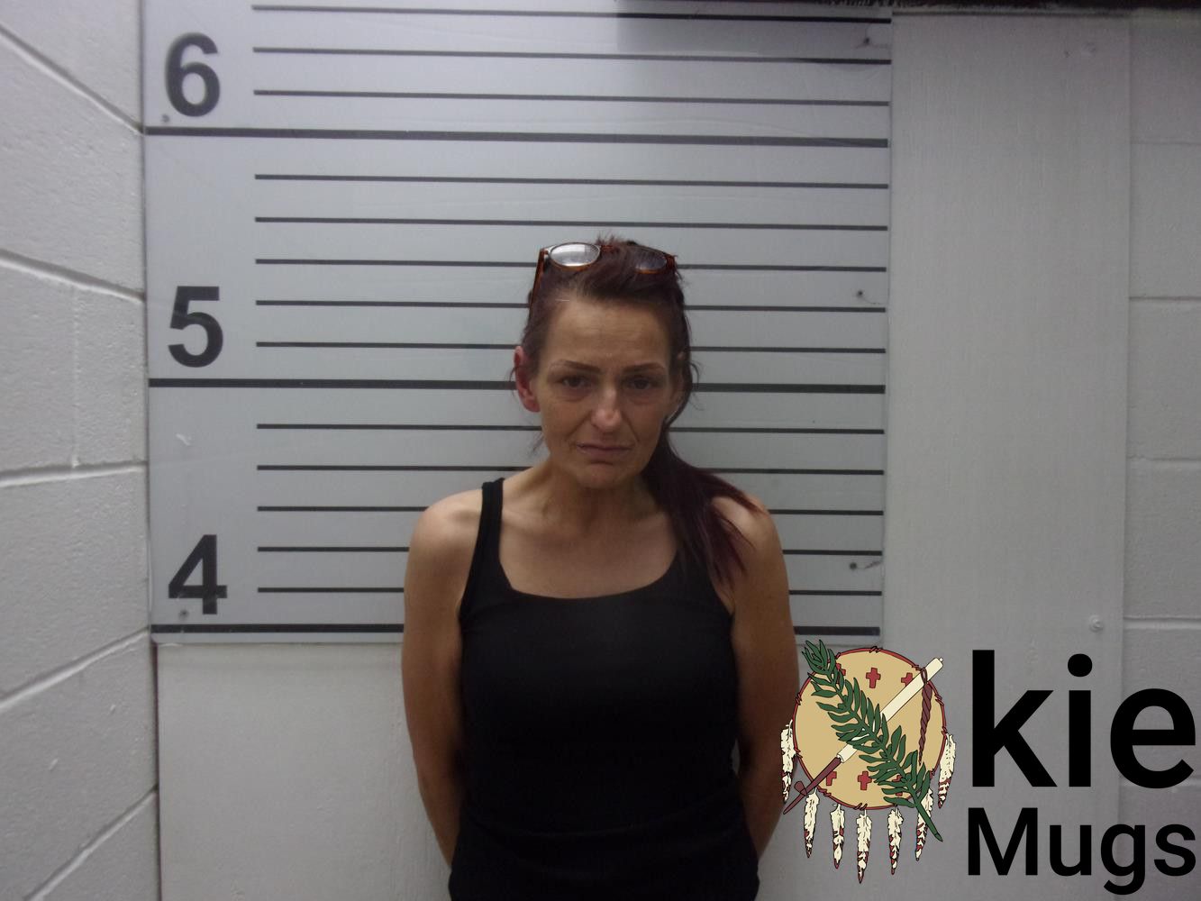 Booking photo of JILL LANET BLEVINS