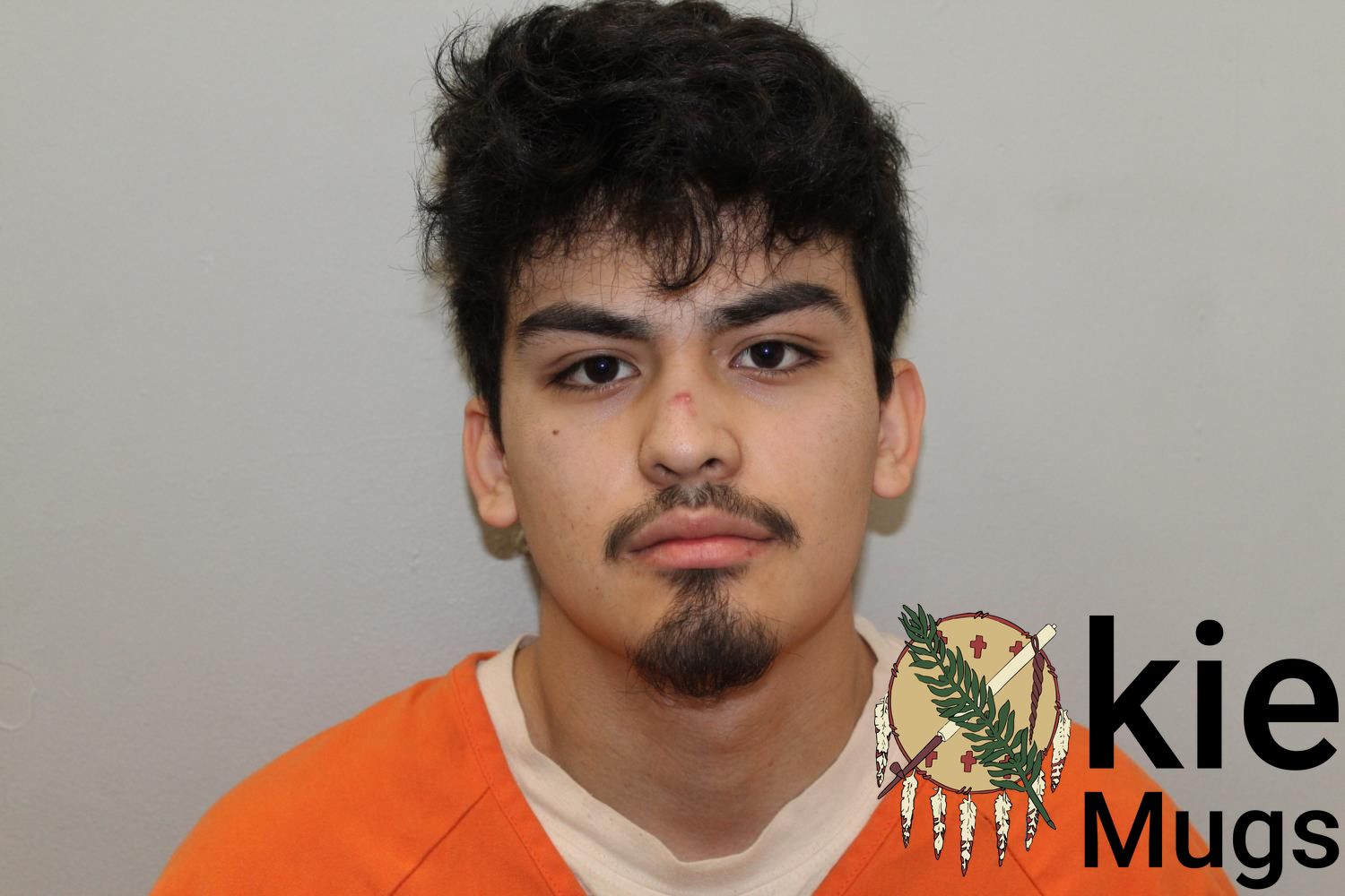 Booking photo of JOSE DAMIAN RAMIREZ