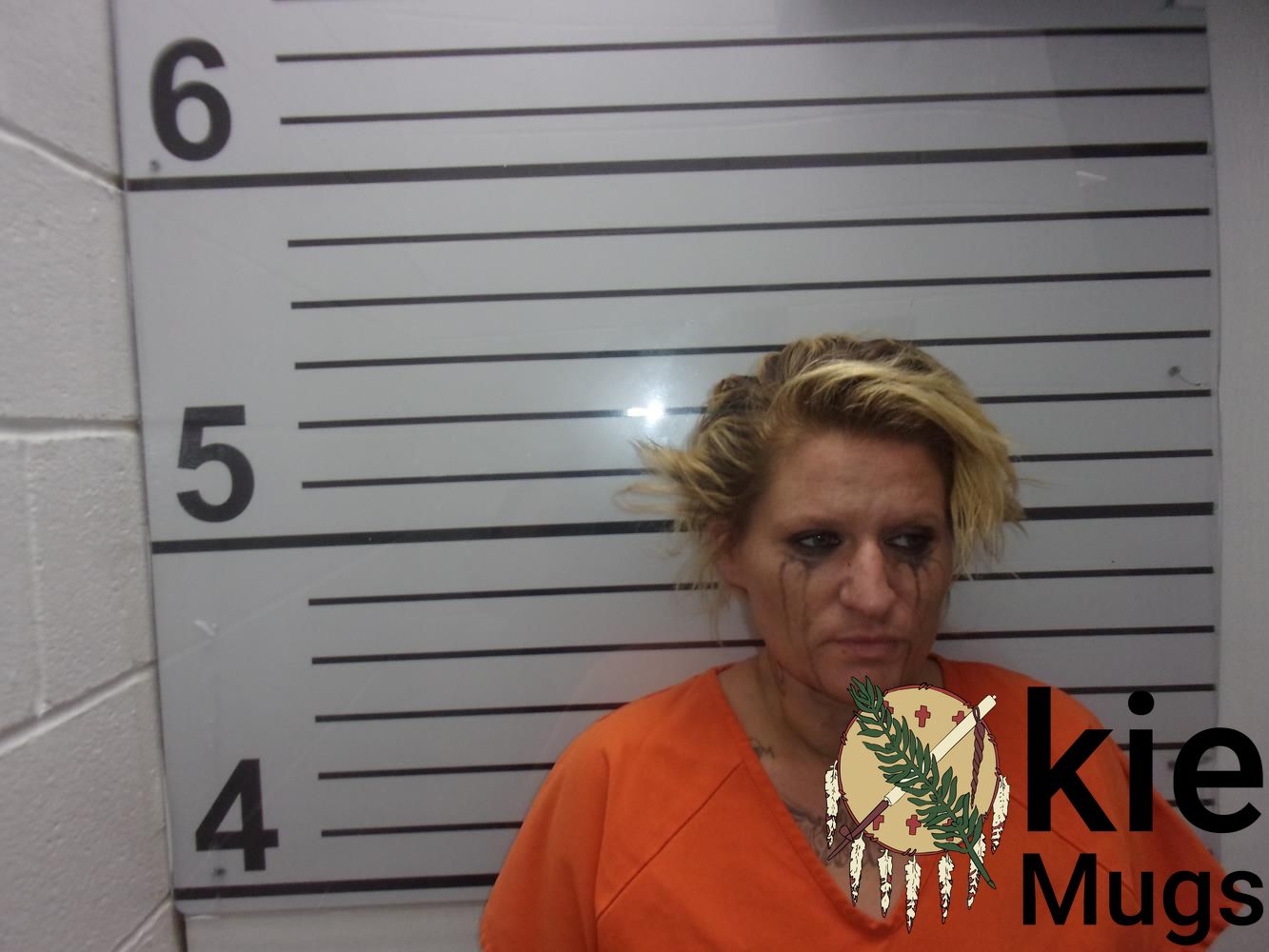 Booking photo of KANDICE HANSON