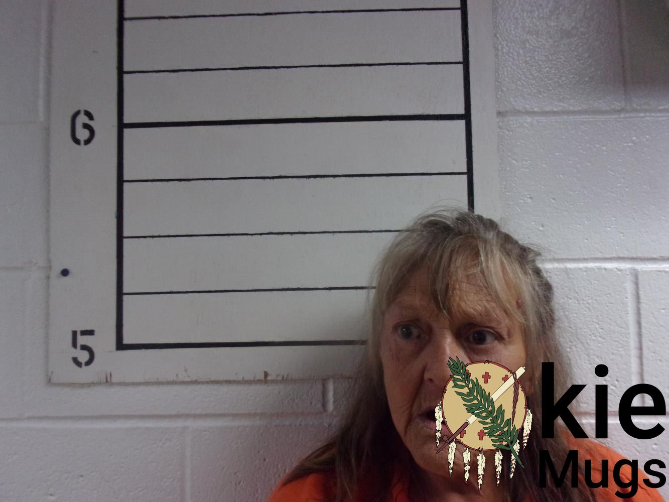 Booking photo of KAREN STROMP