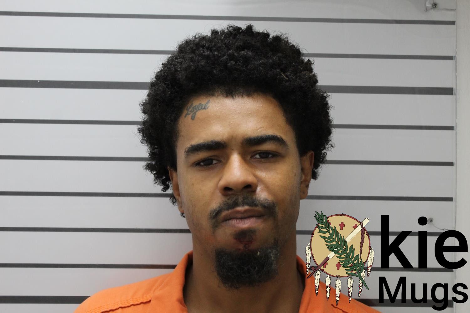 Booking photo of KEVIN TERRELL LEWIS