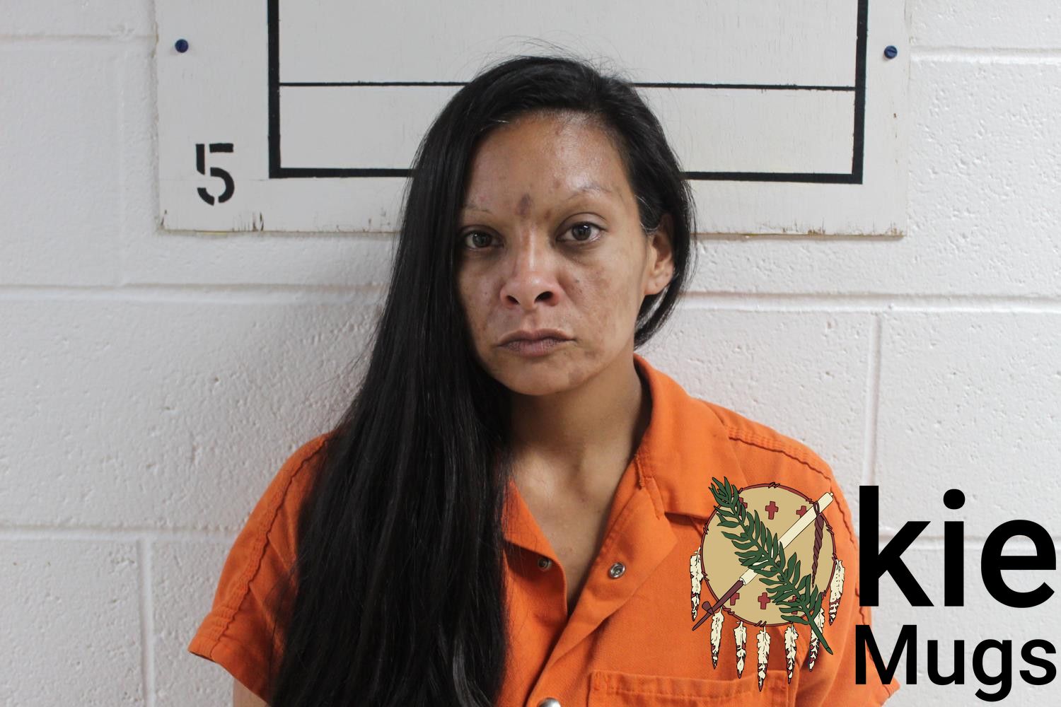 Booking photo of KIMBERLY NIKOLE HARLAN