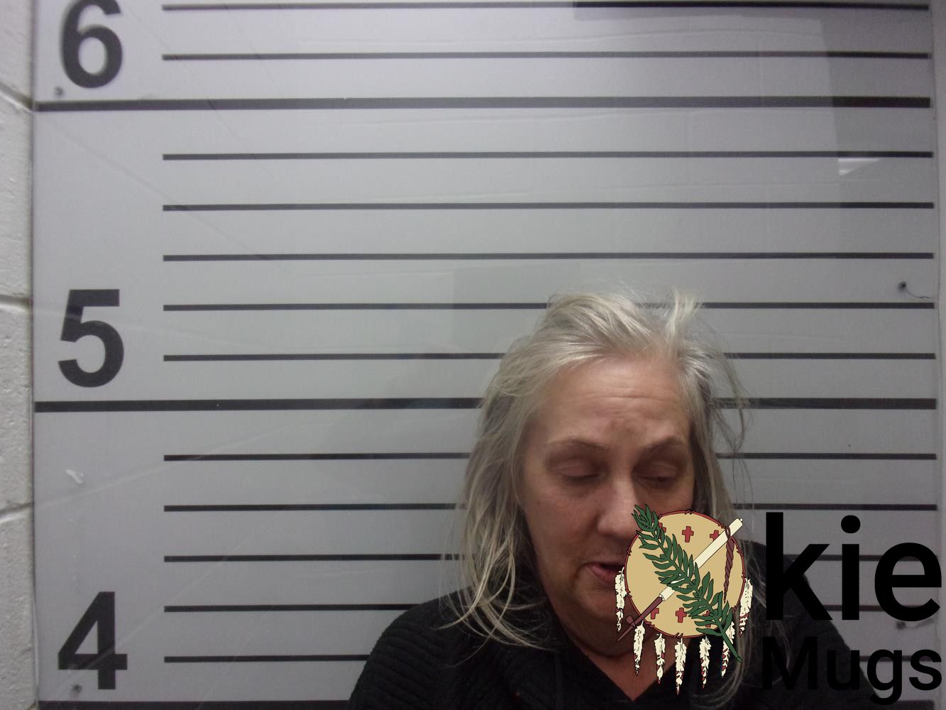 Booking photo of LADONA MARIE SHELTON