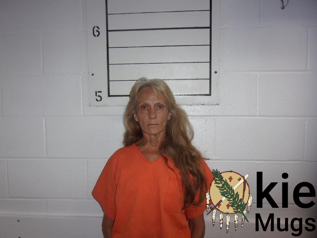 Booking photo of LANA SUE WEBB