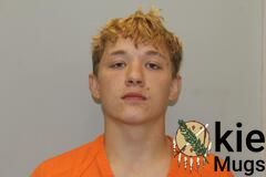 Booking photo of LANCE JACOB PETERS
