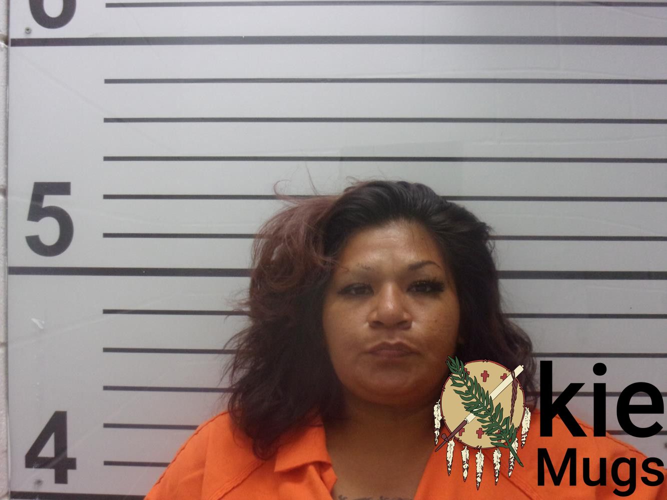 Booking photo of LARHESA LANELL HILL