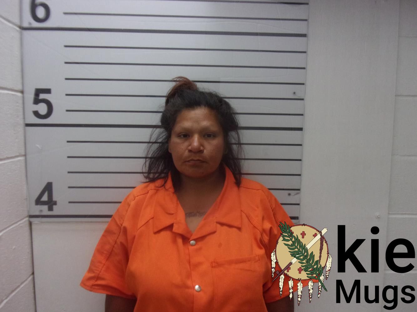 Booking photo of LARHESA LANELL HILL