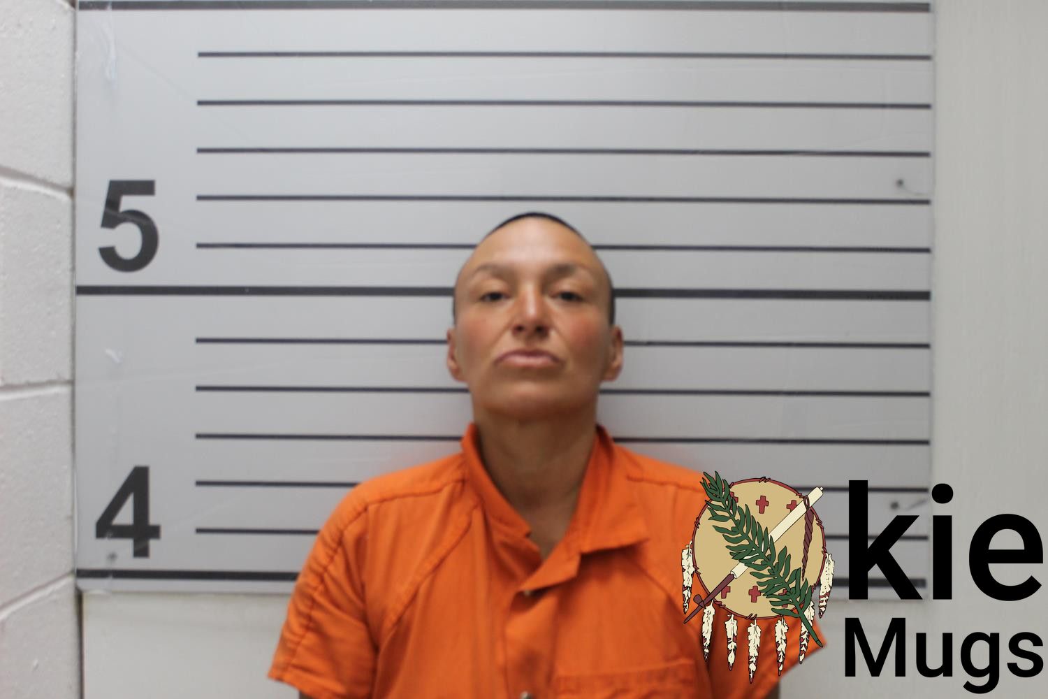 Booking photo of LEE ANN (CREEK) HUBBELL