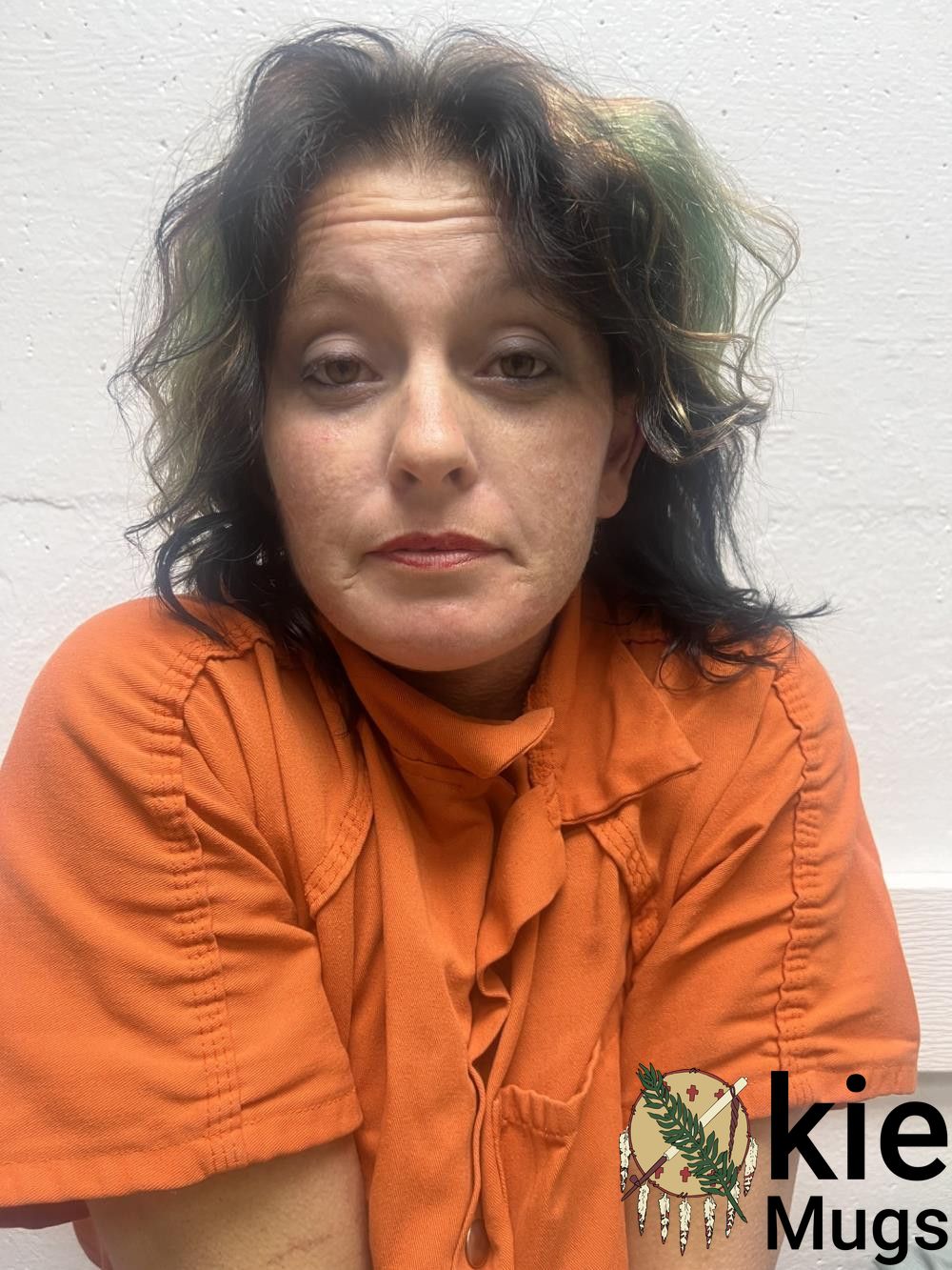Booking photo of LESLIE NICOLE SILLS