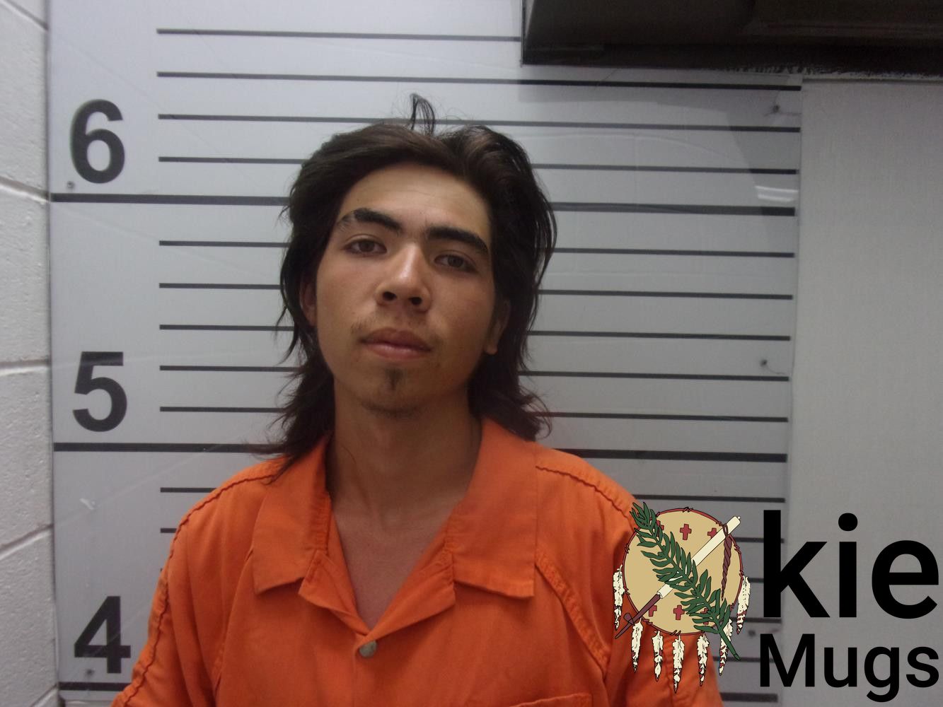 Booking photo of LEVY CABANTING