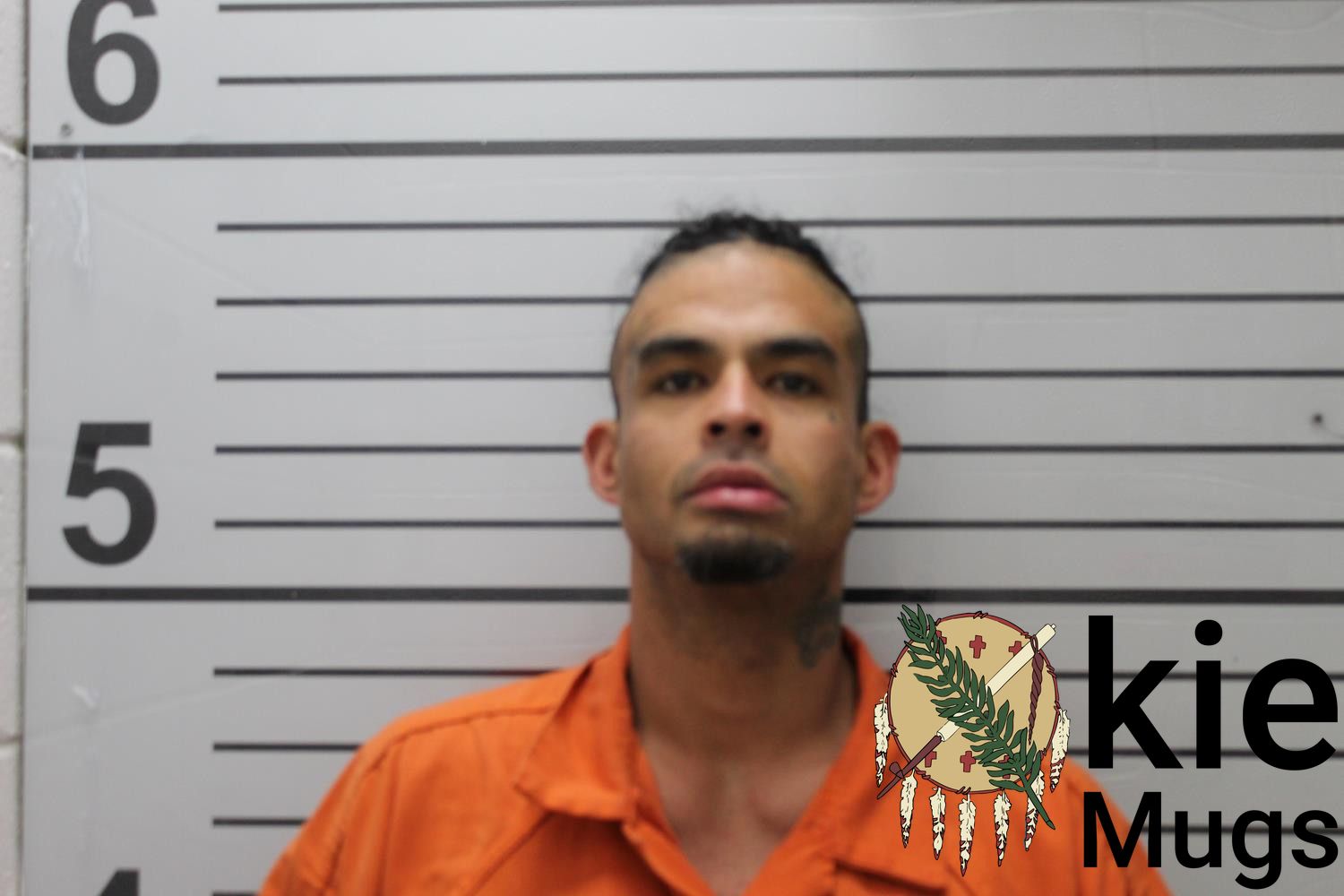 Booking photo of LEWIS MITCHELL (CREEK) WALKER