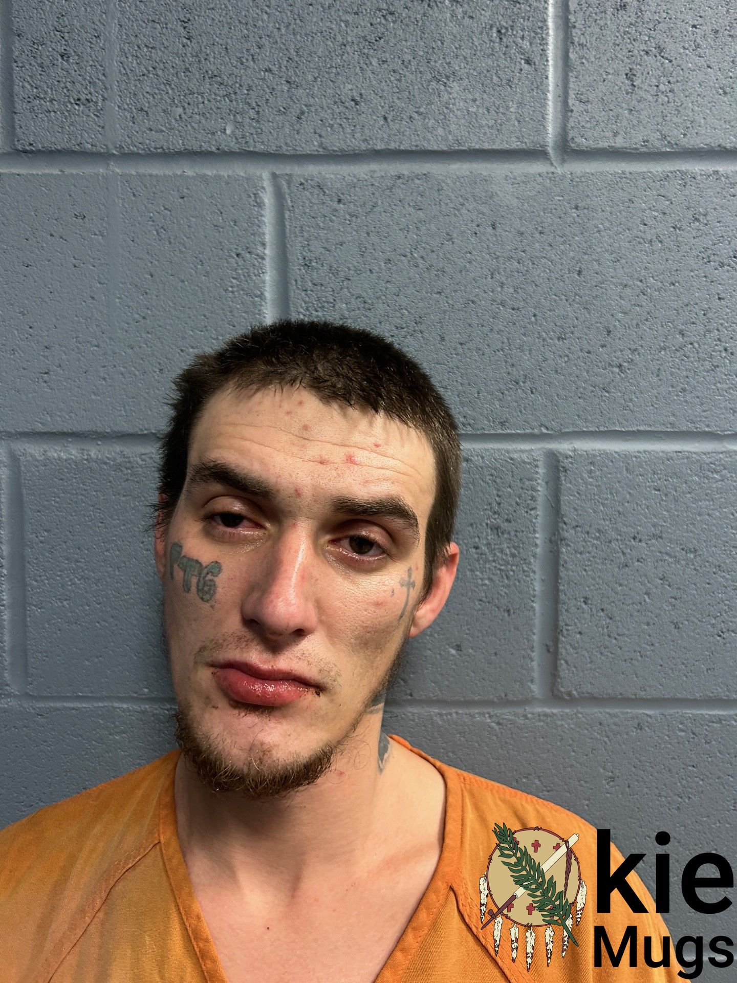 Booking photo of MATTHEW LEWIS