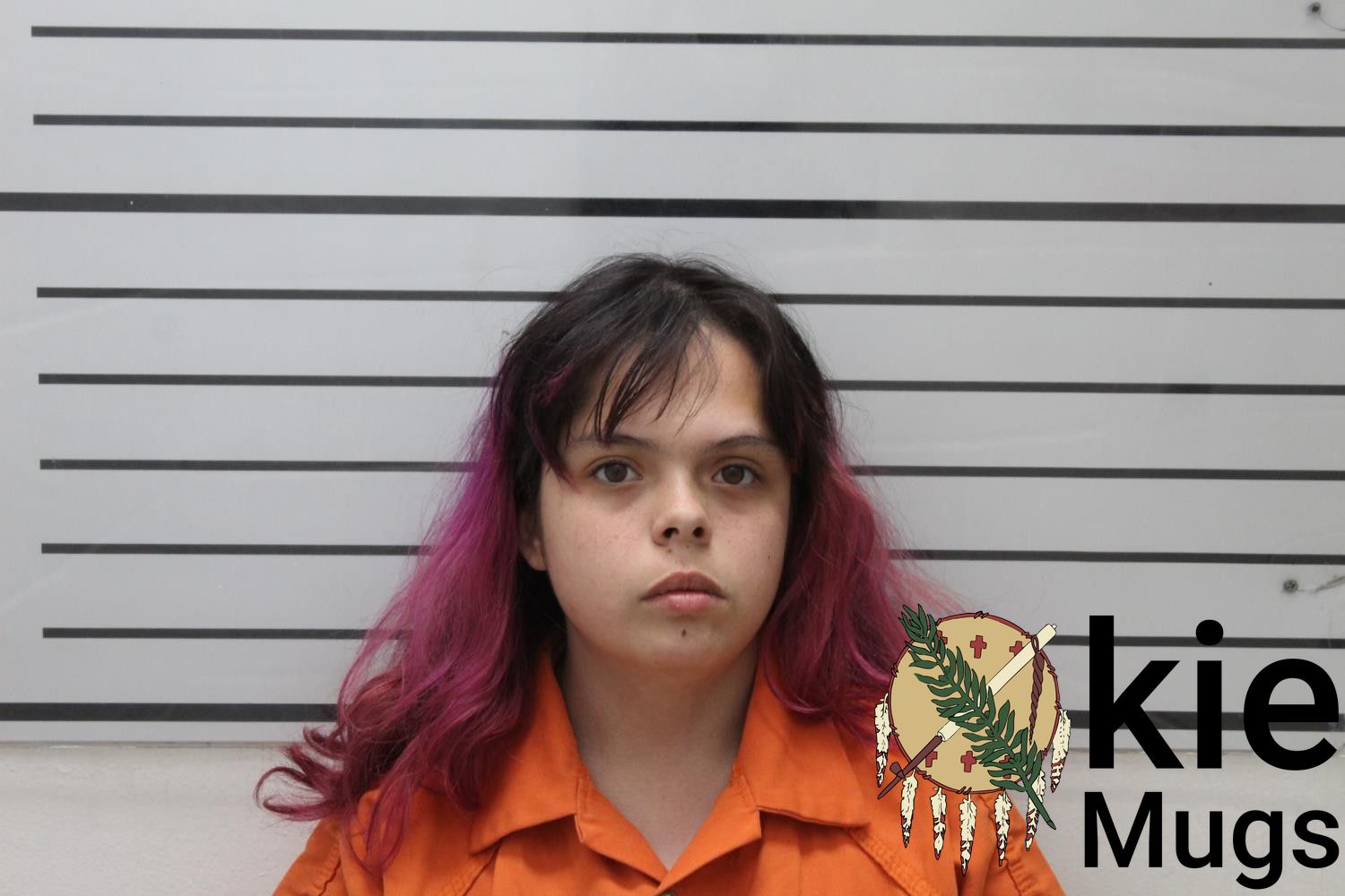 Booking photo of LILLIAN SHURSON