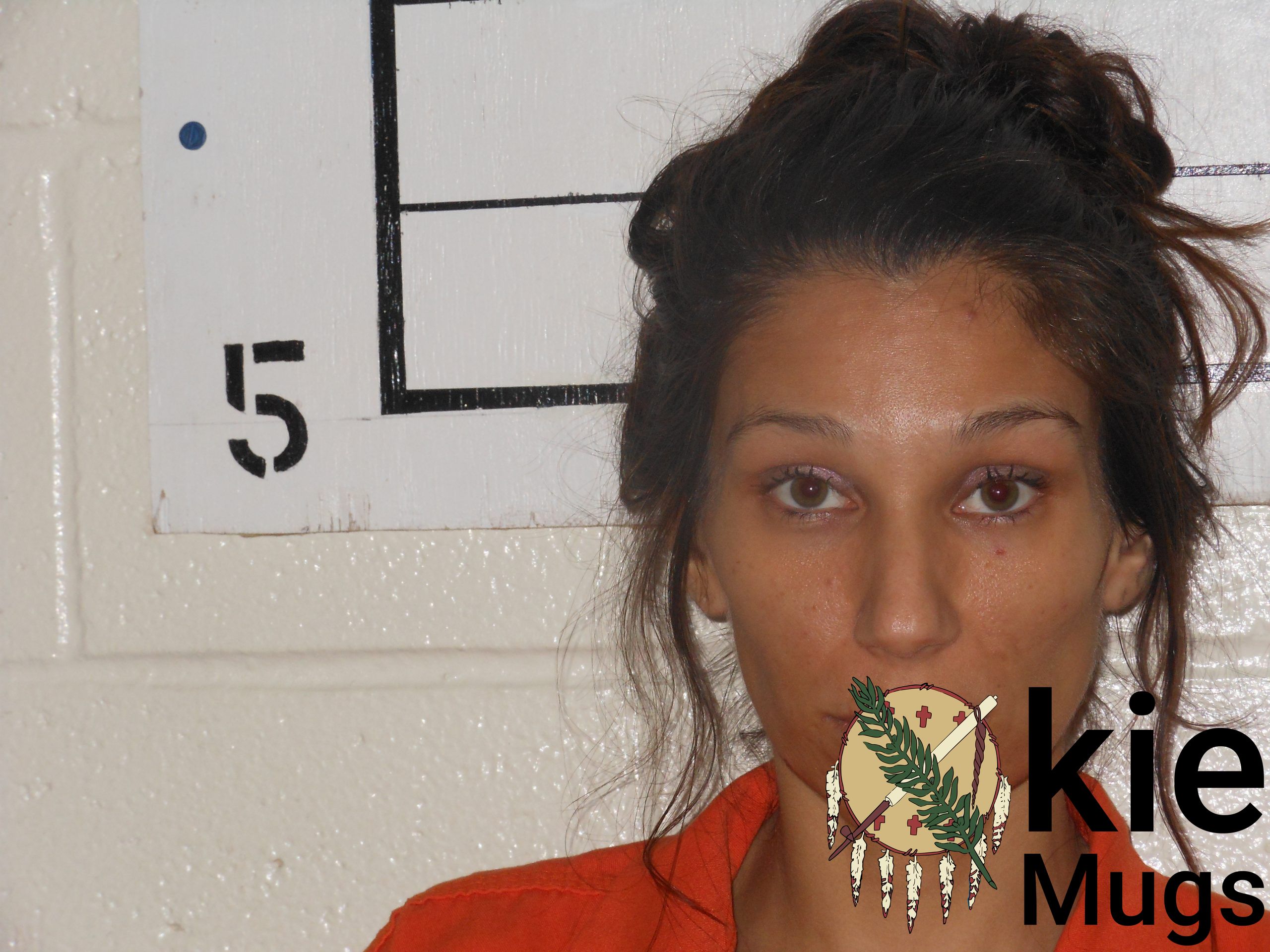 Booking photo of LILLIE DENISE LIGHTNING