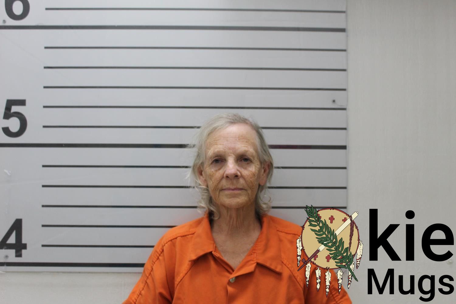 Booking photo of LINDSAY ELLEN TONEY