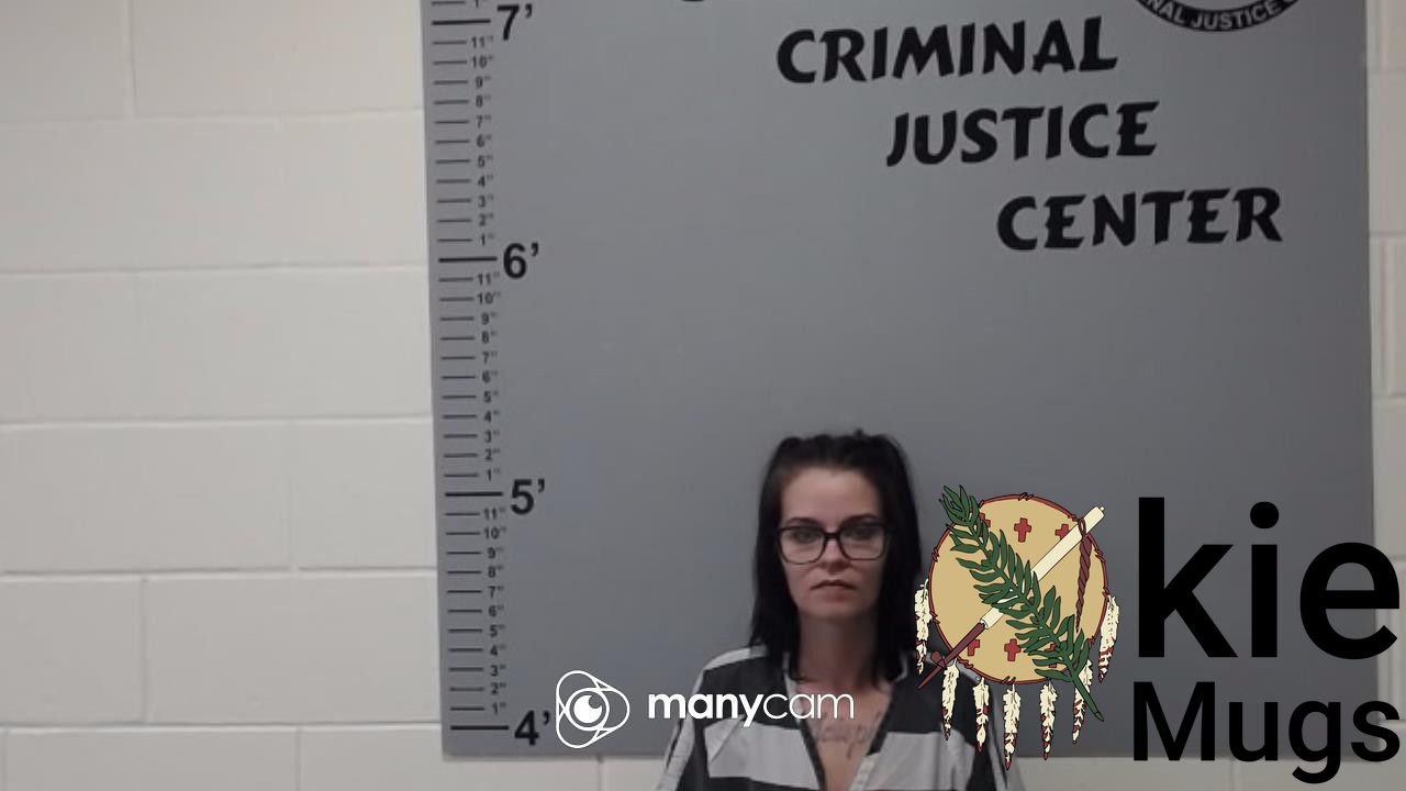 Booking photo of LINDSEY LEANN ELLIS