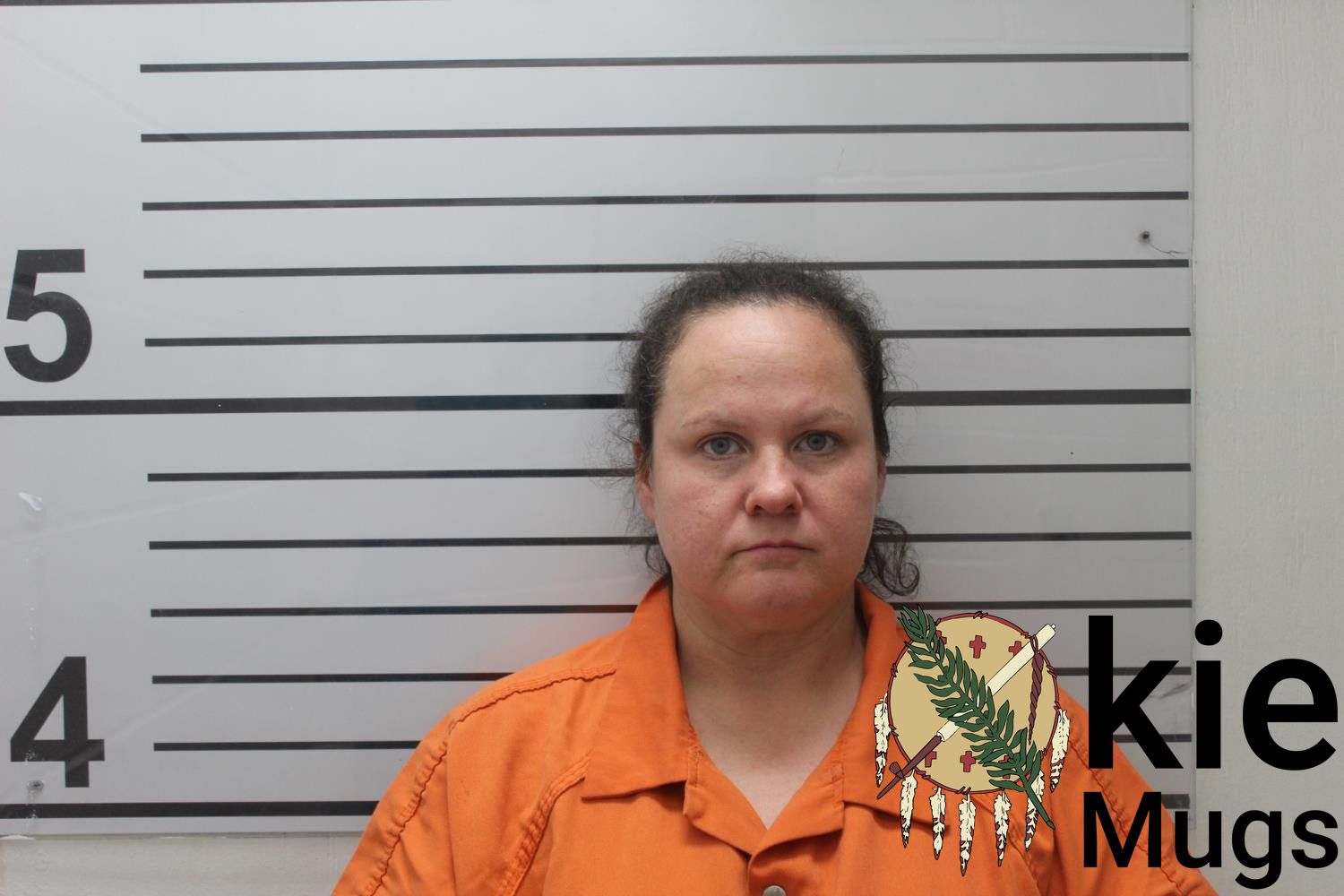 Booking photo of LISA MARIE ROGERS