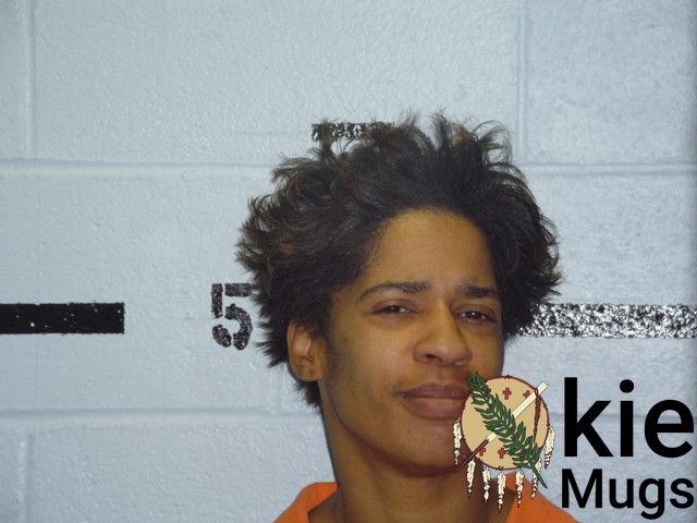 Booking photo of LISA R HICKMAN