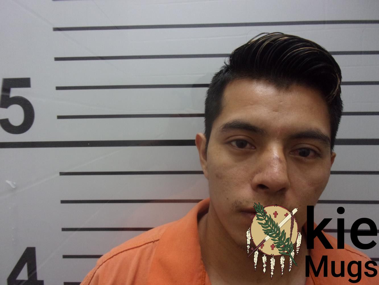 Booking photo of LIVER GARCIA VASQUEZ
