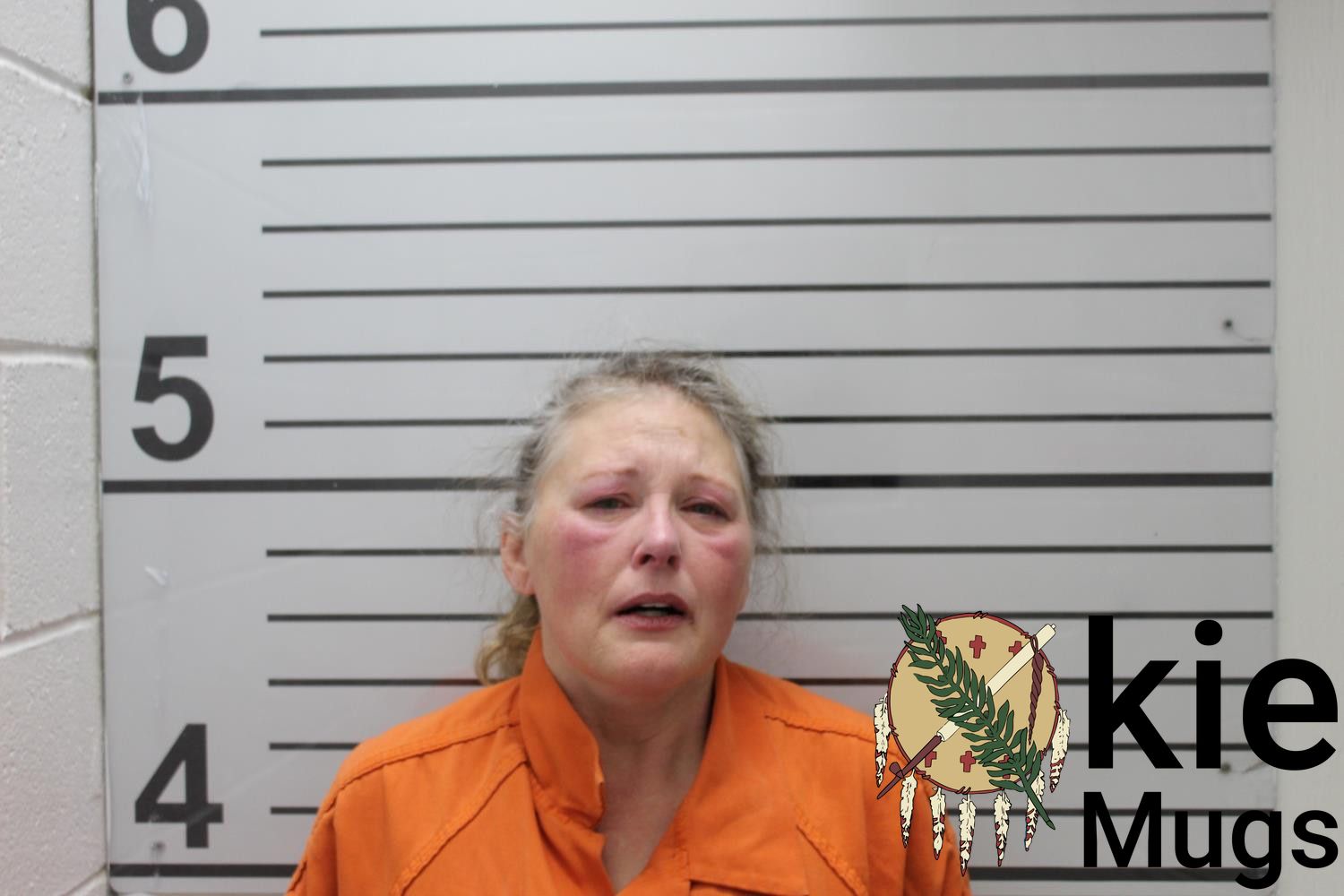 Booking photo of LUCINDA C PERRY