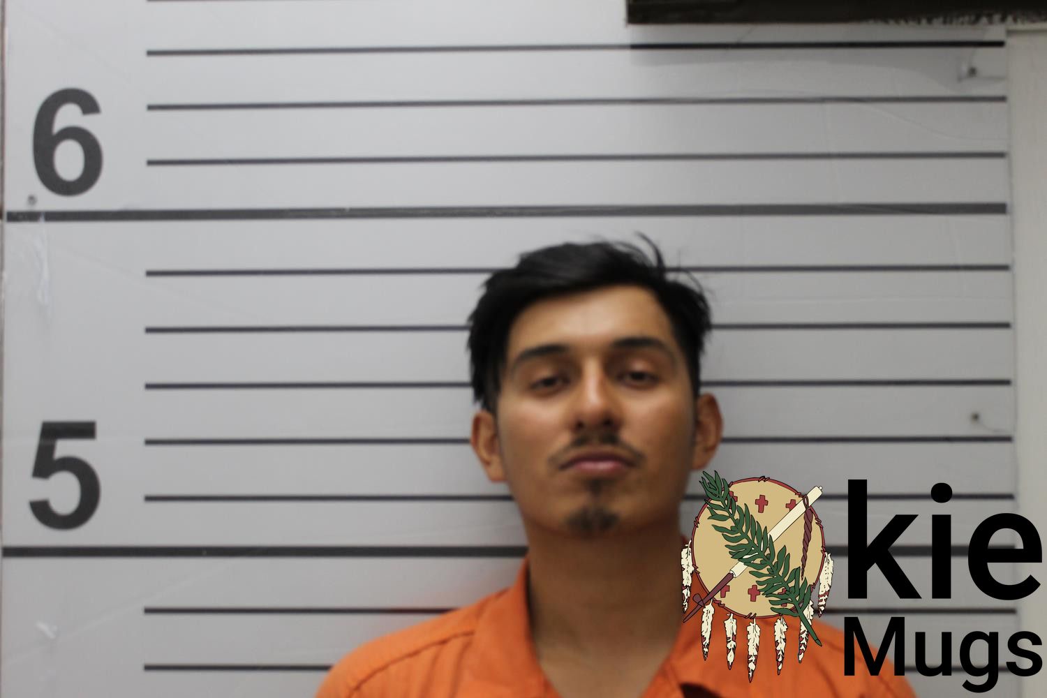 Booking photo of LUIS R FLORES-NIEVES