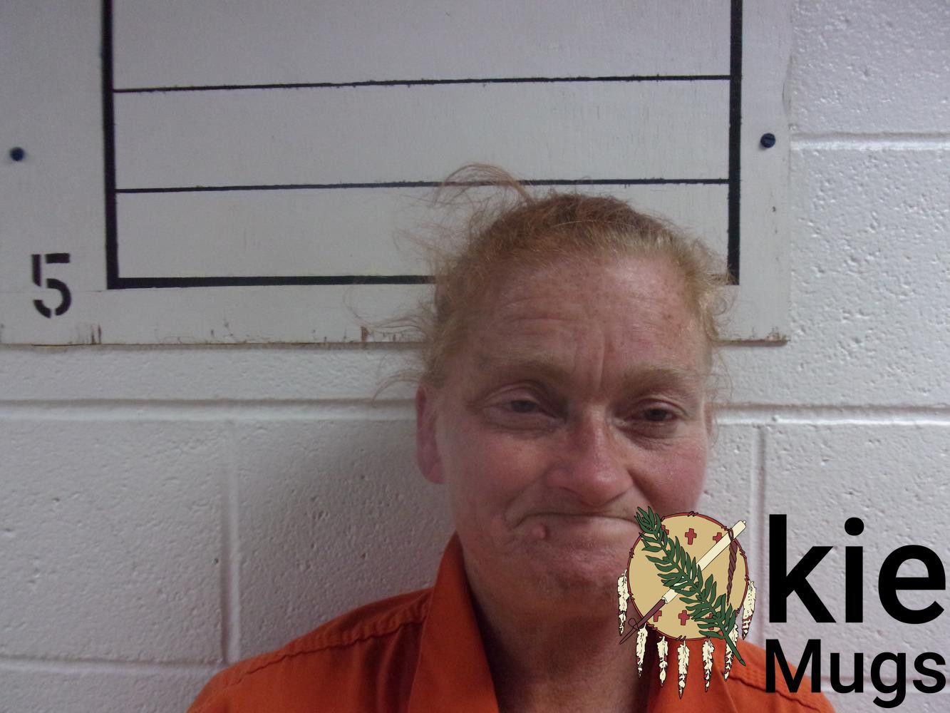 Booking photo of LYNESSA RENEE HARRIS