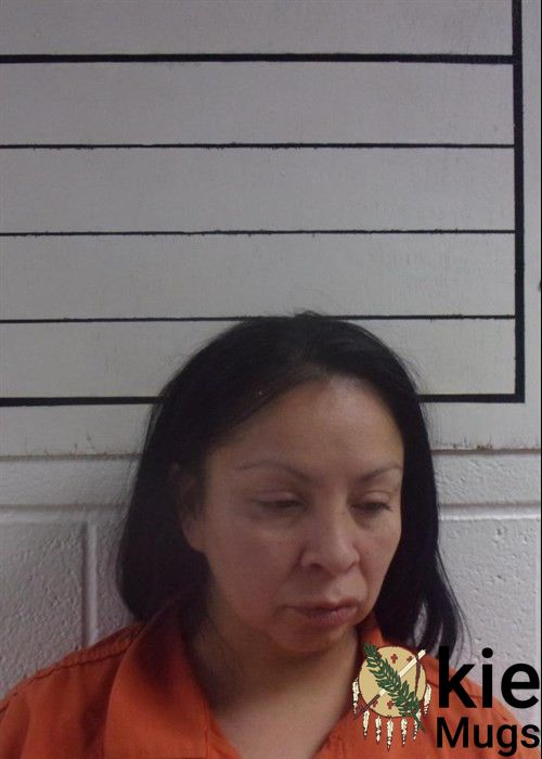 Booking photo of LYNN HOLLY DORSEL
