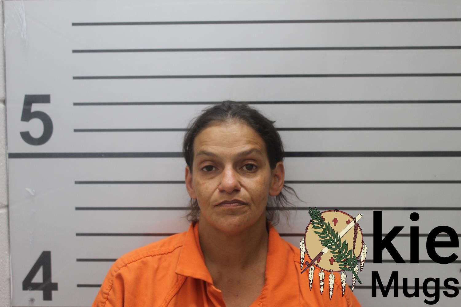 Booking photo of MANDIE LYNN FREDDE