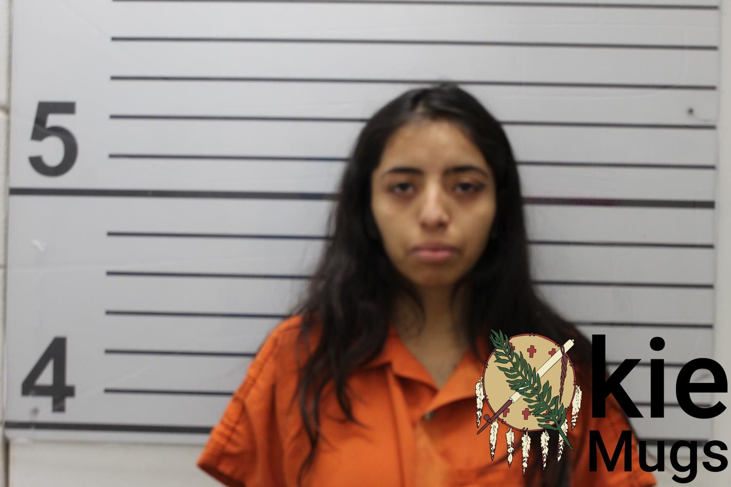 Booking photo of MARIA DEMETRIO SANCHEZ GUADALUPE