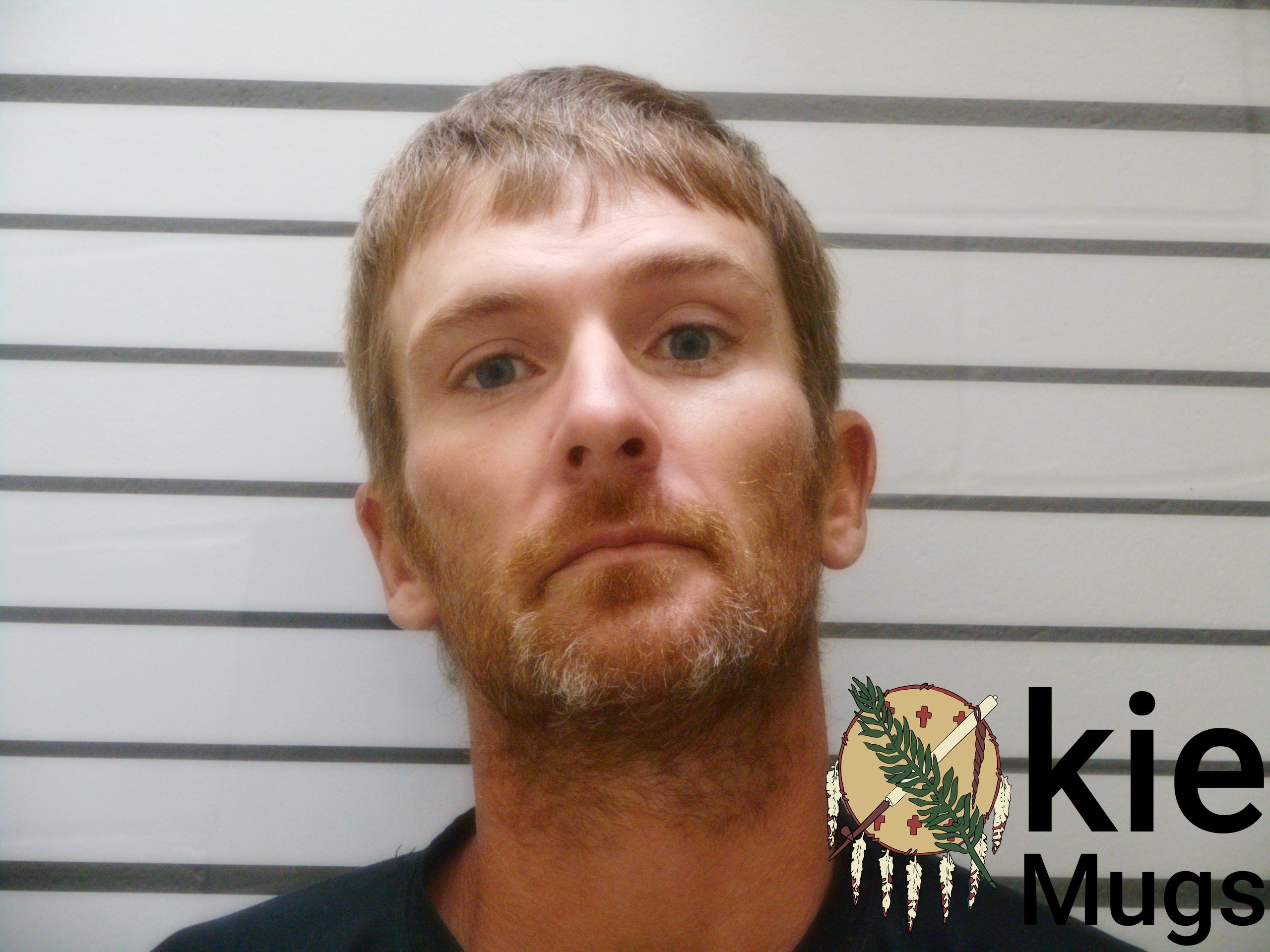 Booking photo of MARK THOMAS BRIDGES