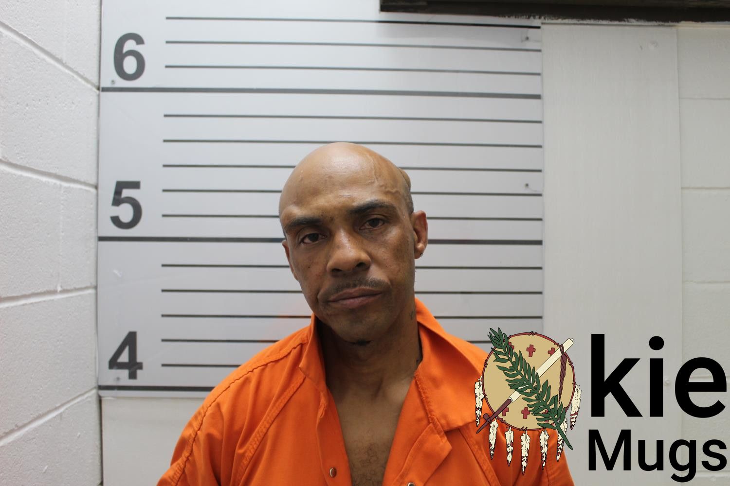 Booking photo of MARTINEC MILO OWENS