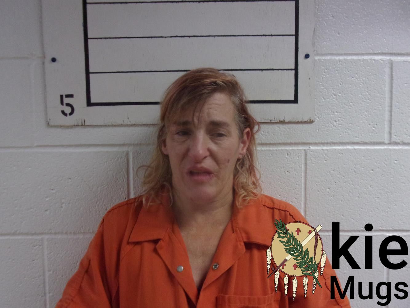Booking photo of MARY ANN ROBERTSON