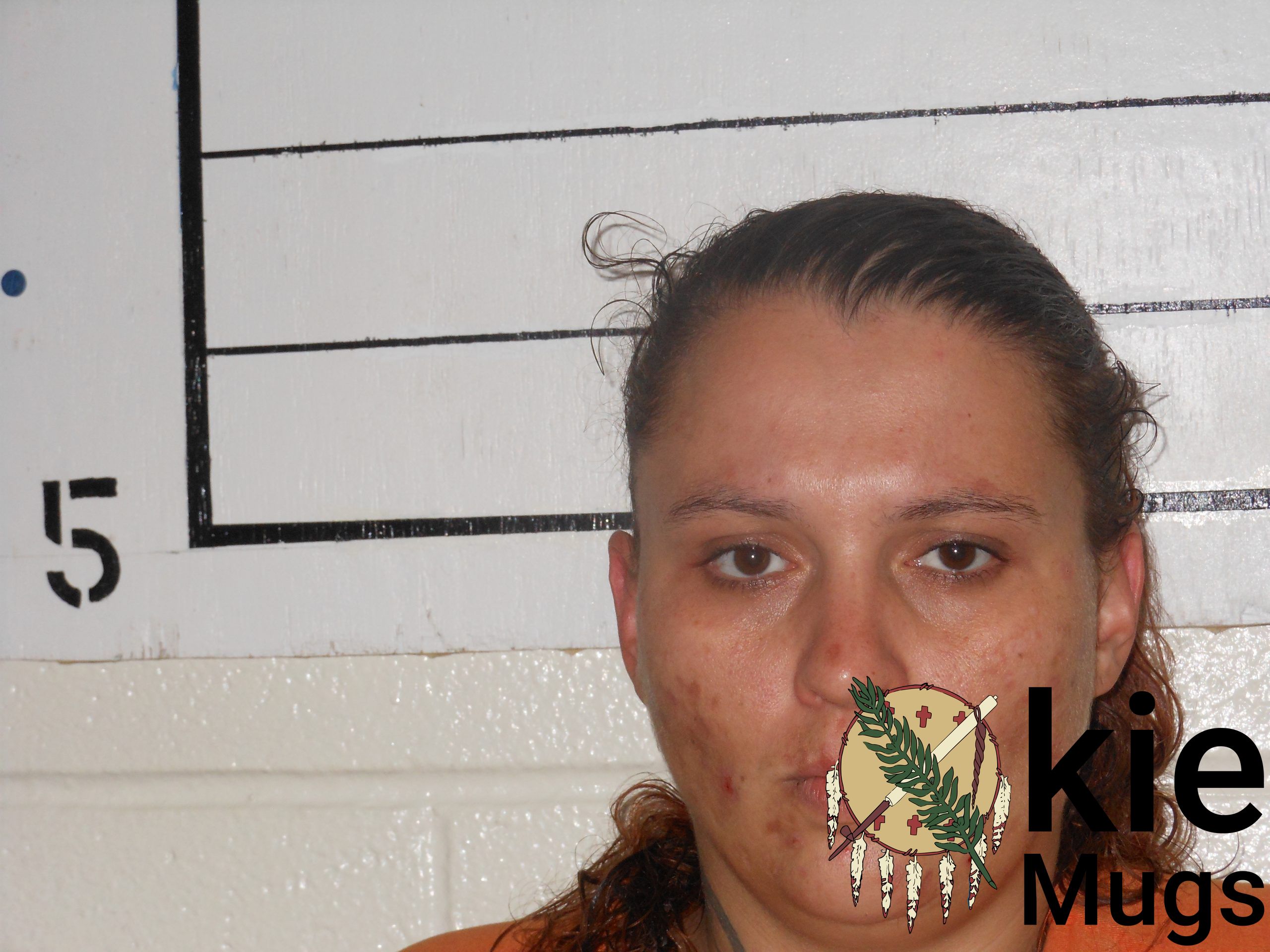 Booking photo of MARY DIANE WALKER