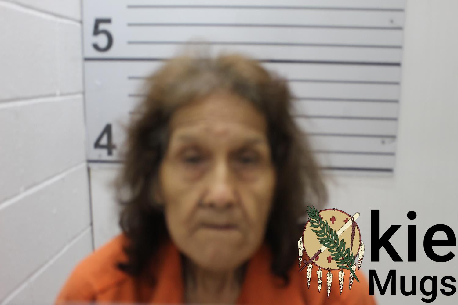 Booking photo of MARY DRYWATER