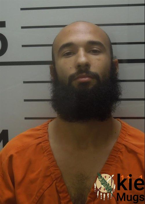 Booking photo of MAURICE LASHON JAMES