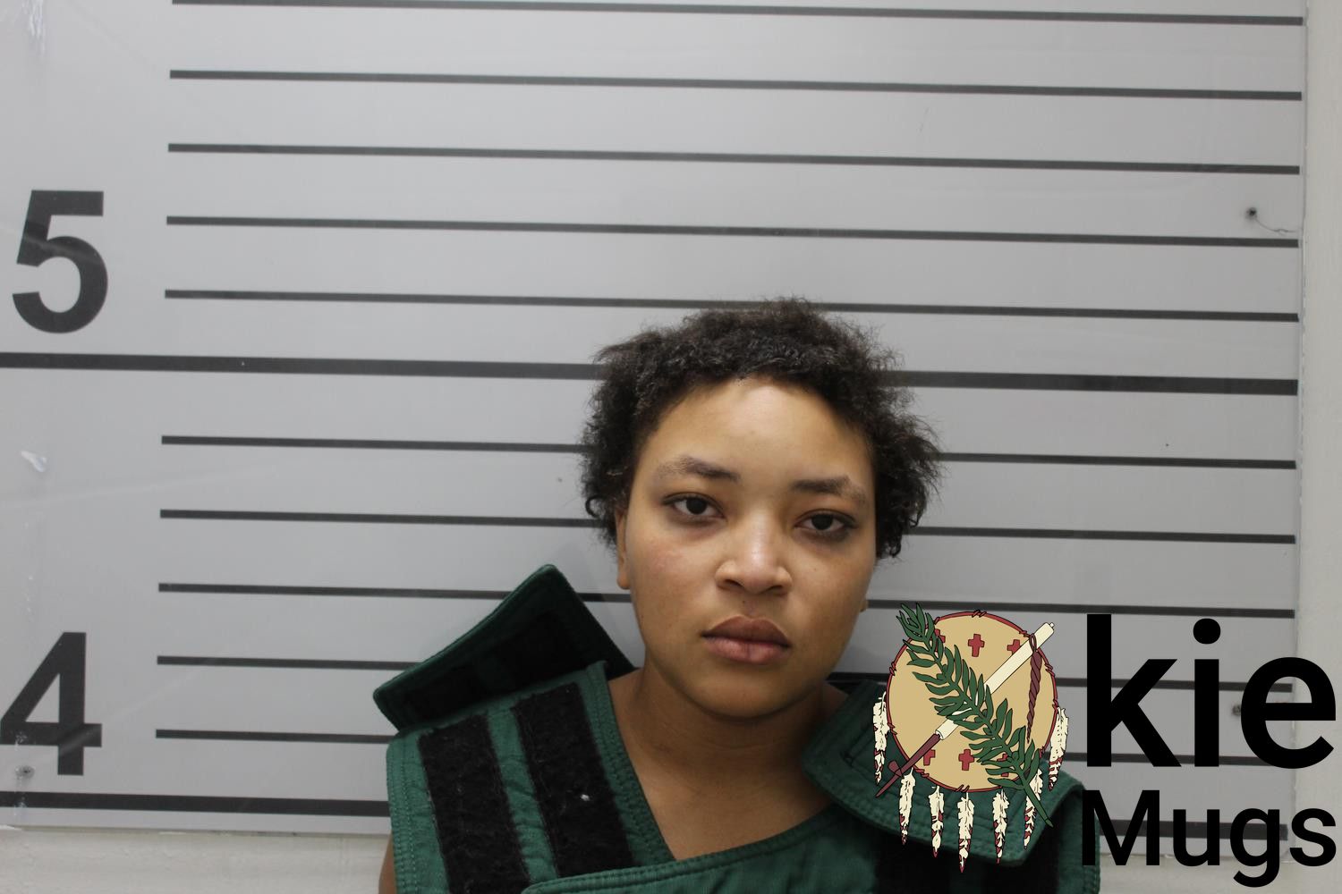 Booking photo of MECHELLE LOVELL