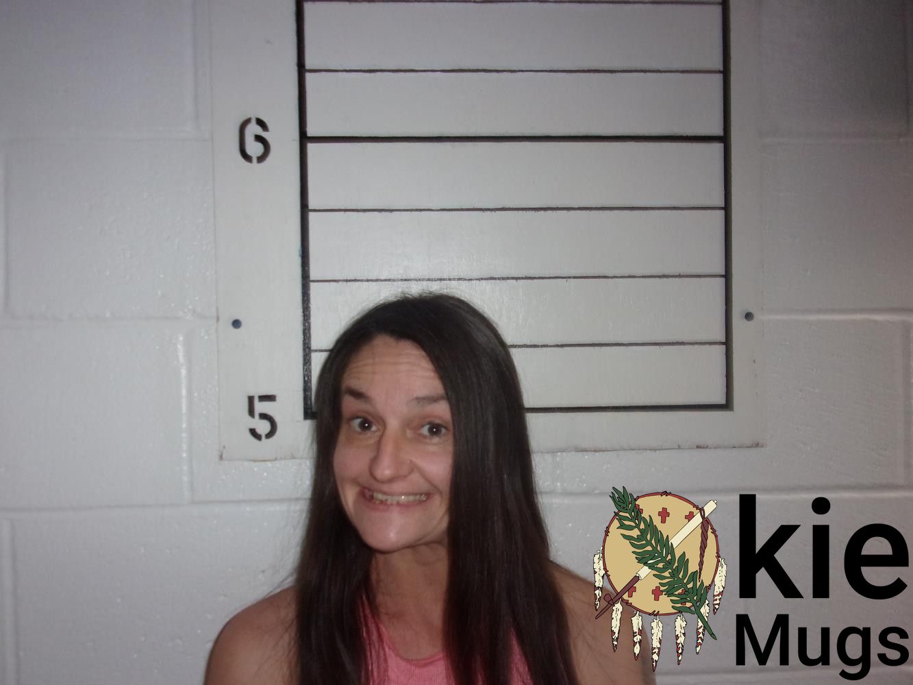 Booking photo of MEGAN ELIZABETH HENSHAW
