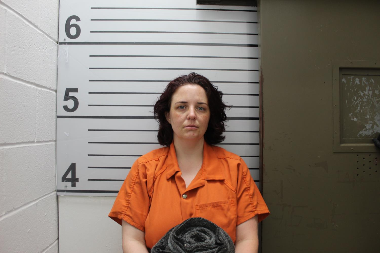 Booking photo of MEGAN LYNN SOUTH