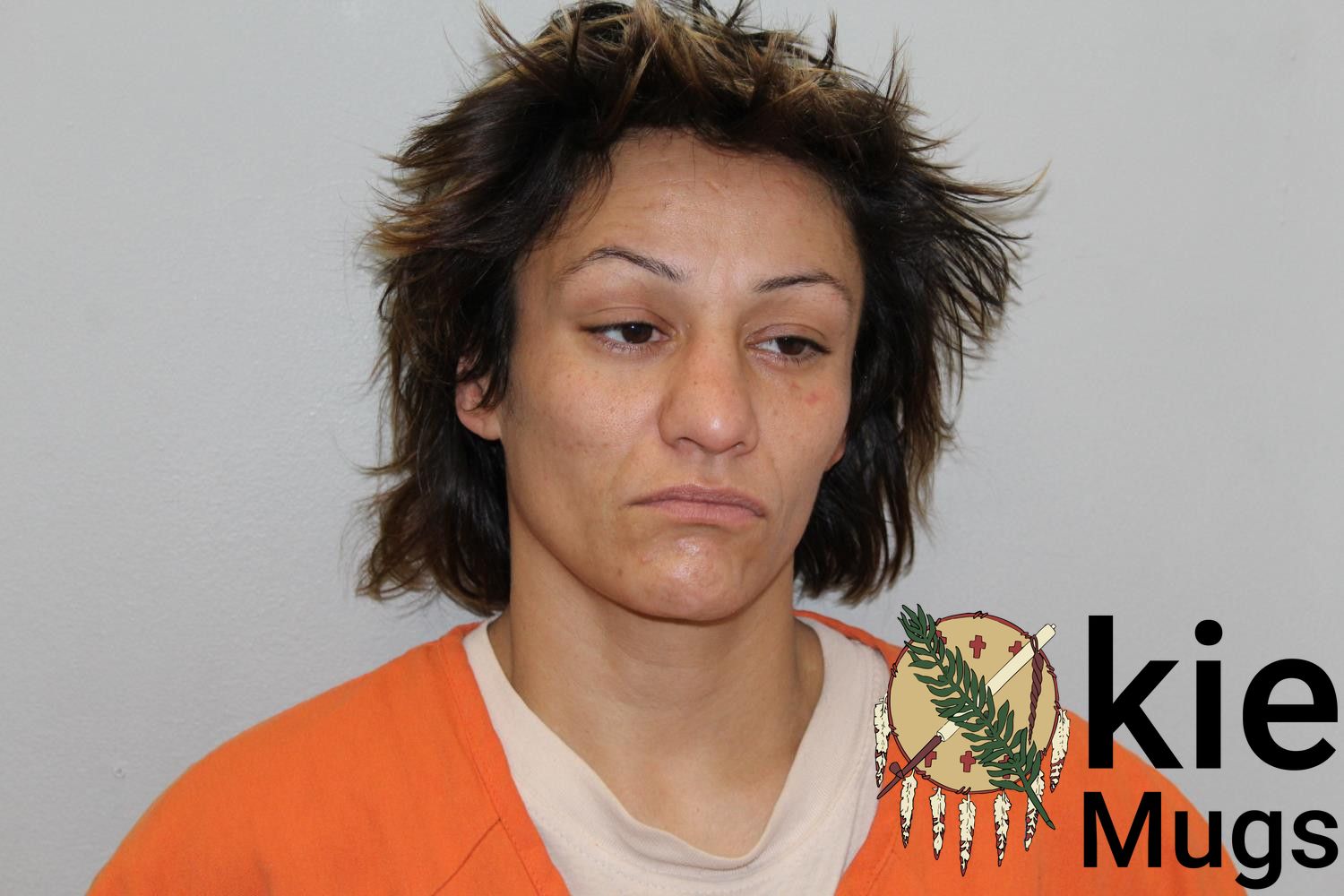 Booking photo of MEGHAN ELIZABETH JONES