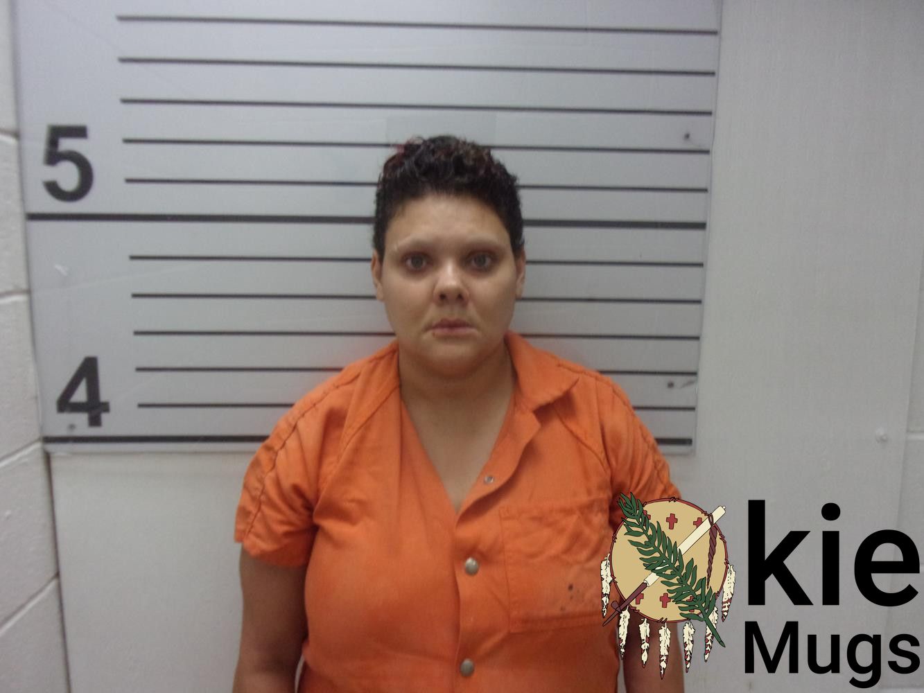 Booking photo of MEIGHAN LEIGH LINN