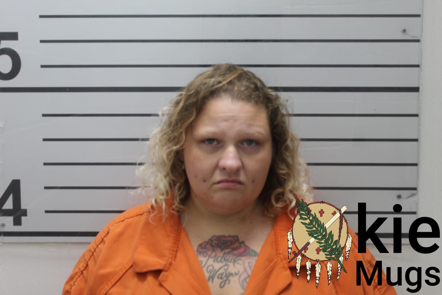Booking photo of MELISSA KAYE (CREEK) MCBRIDE